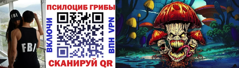 где купить   Балашиха  Псилоцибиновые грибы Magic Shrooms 