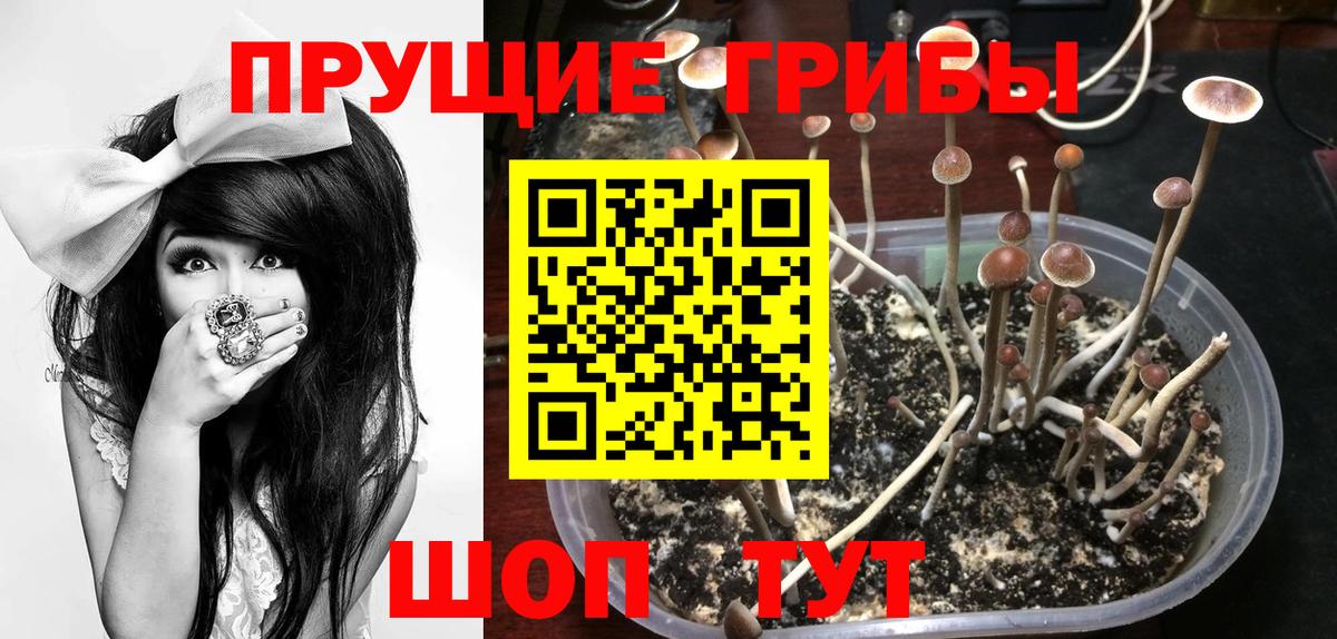 Балашиха  где продают наркотики  Вход с VPN  Галлюциногенные грибы ЛСД 
