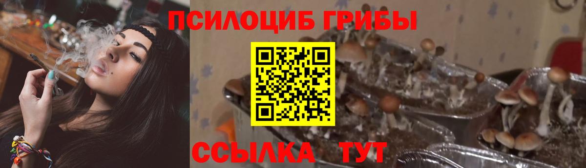 Псилоцибиновые грибы мухоморы Балашиха