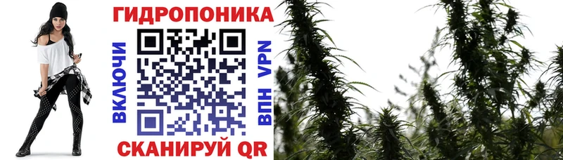 Бошки марихуана сатива  Балашиха 
